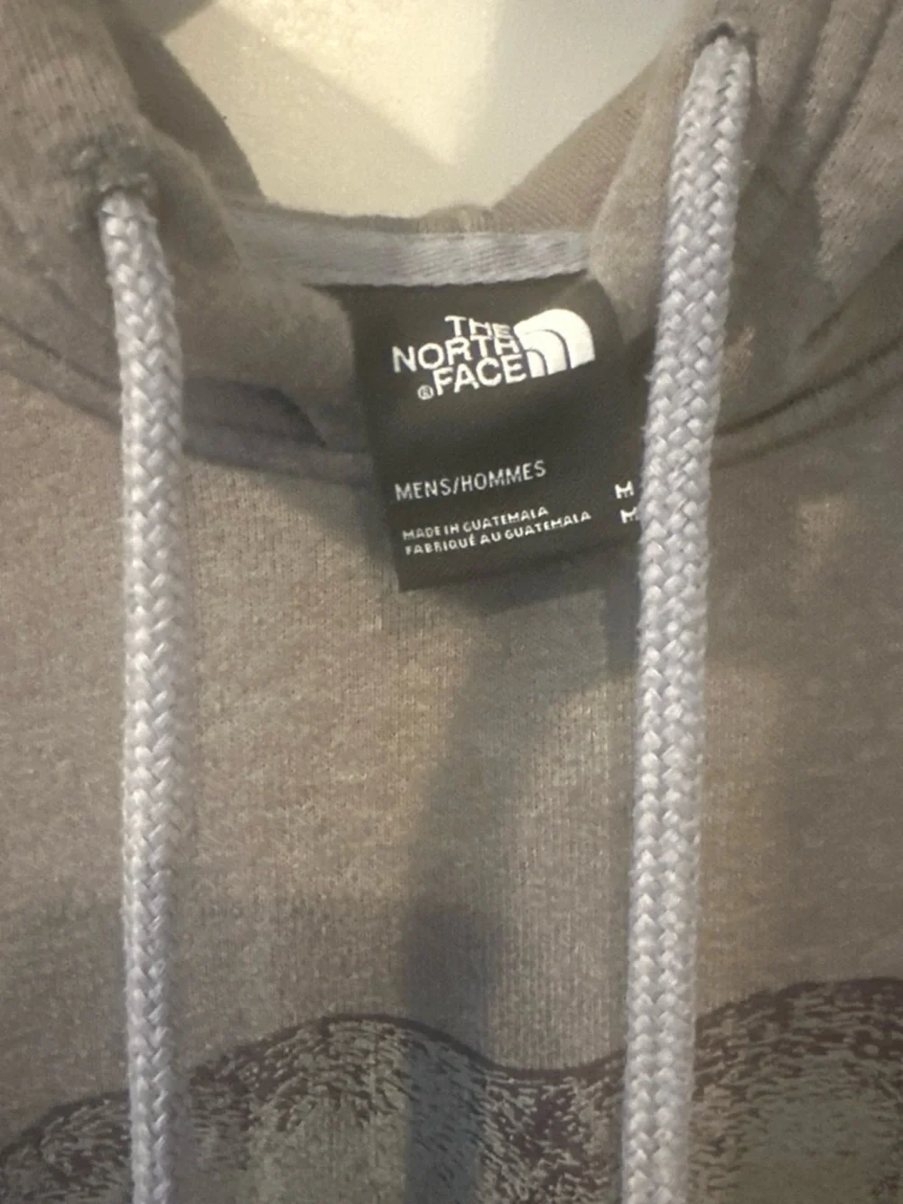The North Face Men's Gray Bear Graphic Hoodie